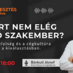 Cégfejlesztés Live: Miért nem elég a szakember?